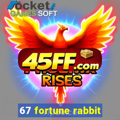 67 fortune rabbit